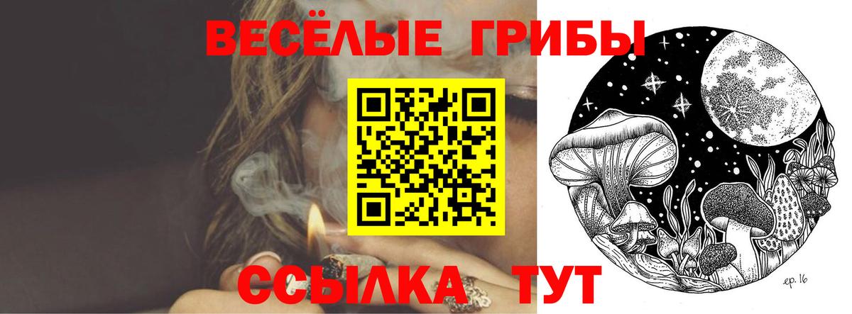 наркошоп  Псилоцибиновые грибы мухоморы  Вход с VPN  Галлюциногенные грибы MAGIC MUSHROOMS  Саянск 
