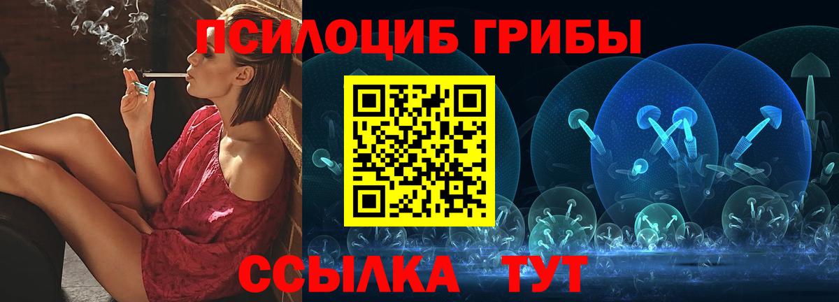 Галлюциногенные грибы Cubensis Саянск